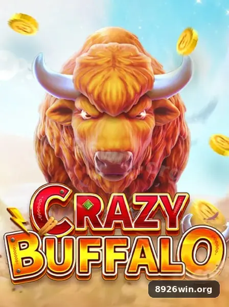 8926win destaque